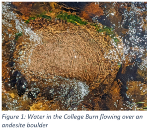 Figure 1: Water in the College Burn flowing over an andesite boulder