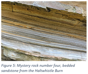 Figure 5: Mystery rock number four, bedded sandstone from the Haltwhistle Burn