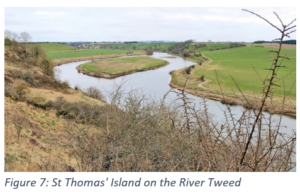 Figure 7: St Thomas' Island on the River Tweed