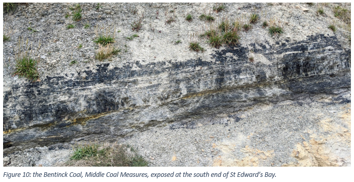 Figure 10: the Bentinck Coal, Middle Coal Measures, exposed at the south end of St Edward’s Bay.