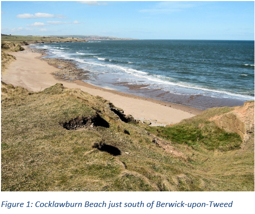 Figure 1: Cocklawburn Beach just south of Berwick-upon-Tweed