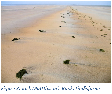 Figure 3: Jack Mattthison's Bank, Lindisfarne