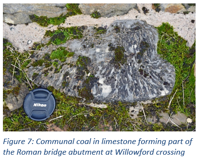 Figure 7: Communal coal in limestone forming part of the Roman bridge abutment at Willowford crossing