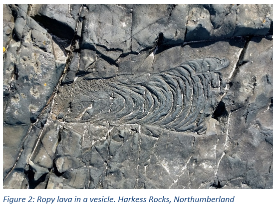 Figure 2: Ropy lava in a vesicle. Harkess Rocks, Northumberland