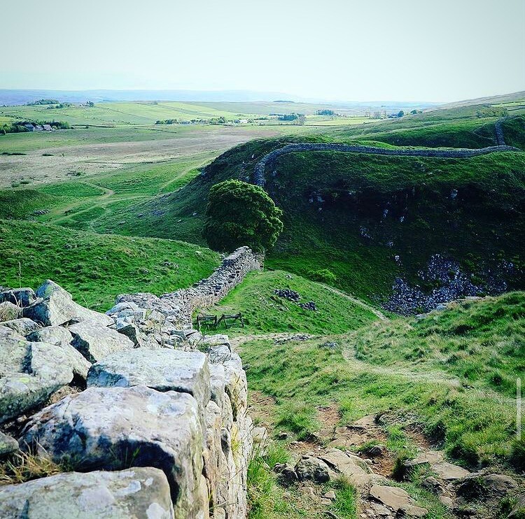 View of Sycamore Gap