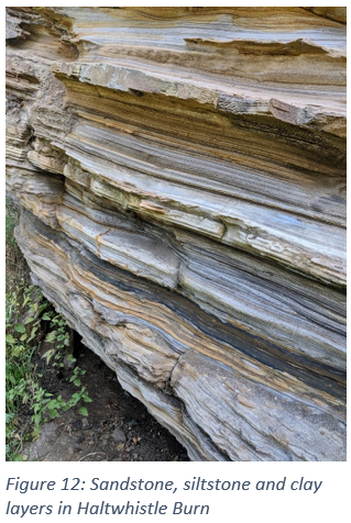 Figure 12: Sandstone, siltstone and clay layers in Haltwhistle Burn