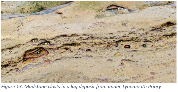 Figure 13: Mudstone clasts in a lag deposit from under Tynemouth Priory