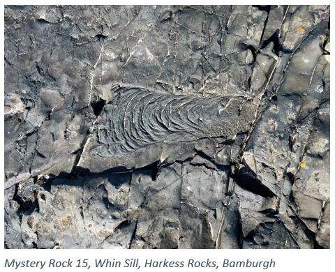 Mystery Rock 15, Whin Sill, Harkess Rocks, Bamburgh