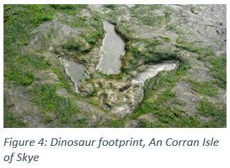 Figure 4: Dinosaur footprint, An Corran Isle of Skye