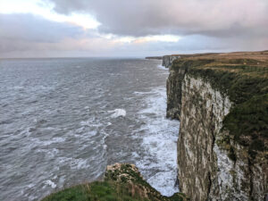 The chalk cliffs north west of Flamborough at Bempton