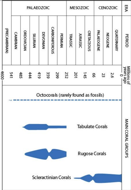 A chart showing the changes to coral groups over time